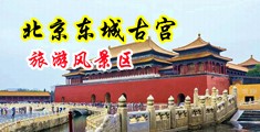 亚洲美女被艹的叫中国北京-东城古宫旅游风景区